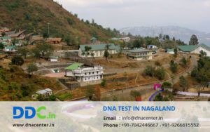 DNA Test in Nagaland