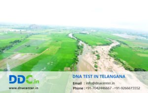 DNA Test in Telangana