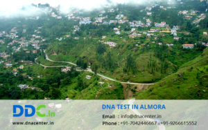DNA Test in Almora