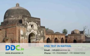 DNA Test in Kaithal