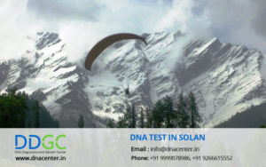 Solan