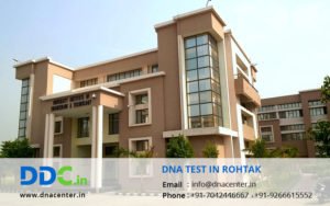 DNA Test in Rohtak