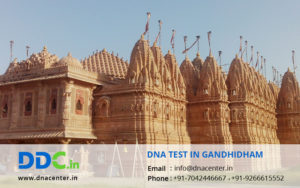 DNA Test in Gandhidham