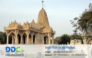DNA Test in Mehsana