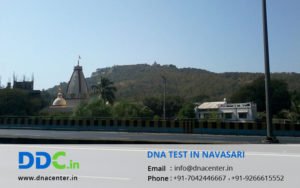 DNA Test in Navasari
