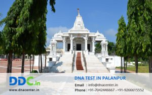 DNA Test in Palanpur