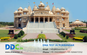 DNA Test in Porbandar