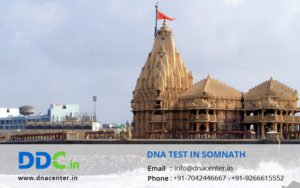DNA Test in Somnath
