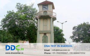 DNA Test in Asansol