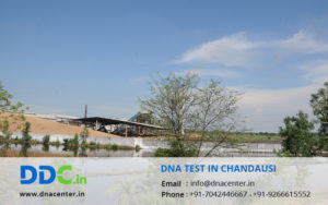 DNA Test in Chandausi