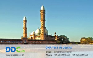 DNA Test in Dewas