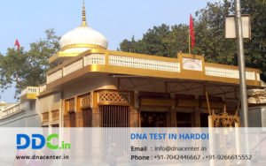 DNA Test in Hardoi
