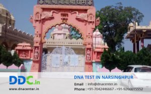 DNA Test in Narsinghpur