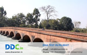 DNA Test in Pilibhit