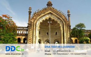 DNA Test in Lucknow