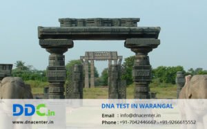 DNA Test in Warangal