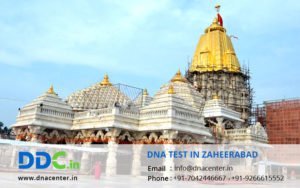 DNA Test in Zaheerabad