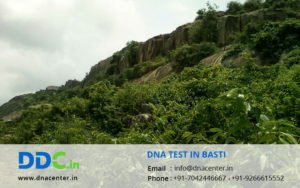 DNA Test in Basti