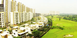 DNA Test in Dombivli