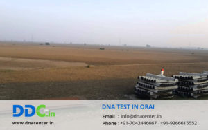 DNA Test in Orai