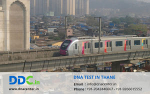 DNA Test in Thane