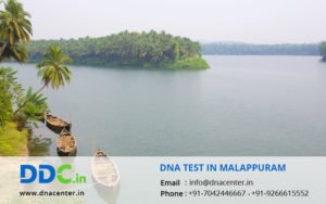 DNA Test in Malappuram