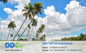 DNA Test in Alappuzha