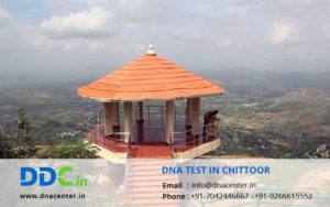 DNA Test in Chittoor