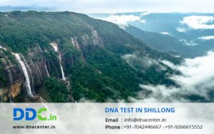 DNA Test in Shillong