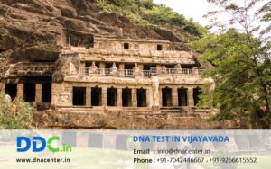 DNA Test in Vijayawada