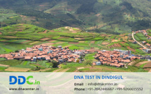 DNA Test in Dindigul