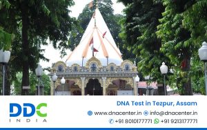 DNA Test in Tezpur, Assam
