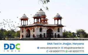 DNA Test in Jhajjar, Haryana