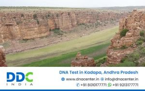 DNA Test in Kadapa, Andhra Pradesh