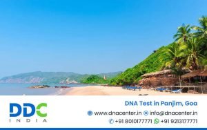 DNA Test in Panjim, Goa