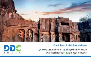 DNA Test in Maharashtra
