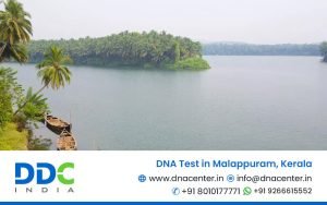 DNA Test in Malappuram