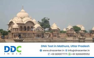 DNA Test in Mathura