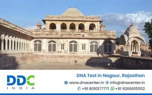 DNA Test in Nagaur