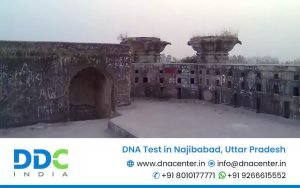DNA Test in Najibabad
