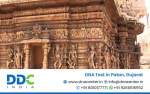 DNA Test in Patan