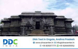 DNA Test in Ongole