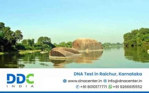 DNA Test in Raichur