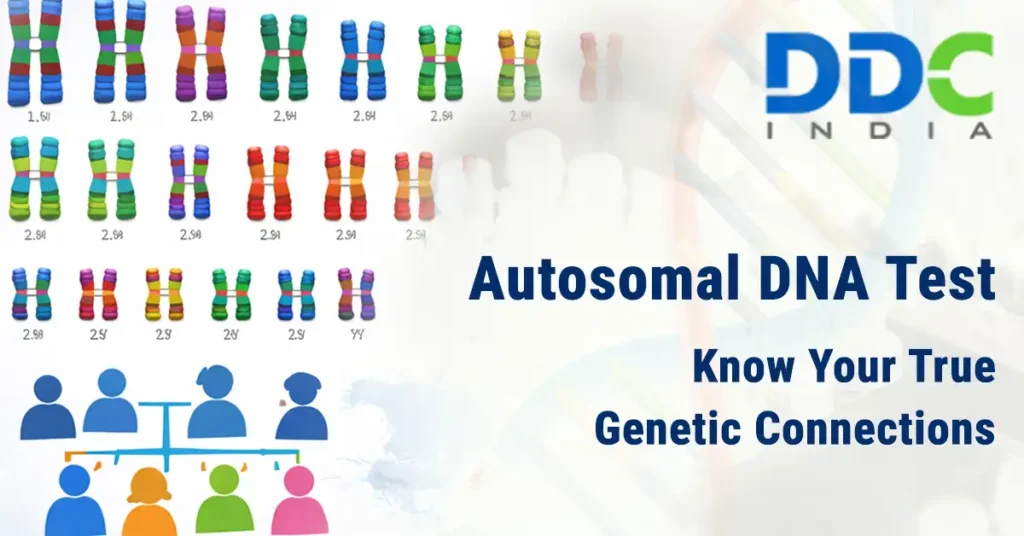 Autosomal-DNA-Test