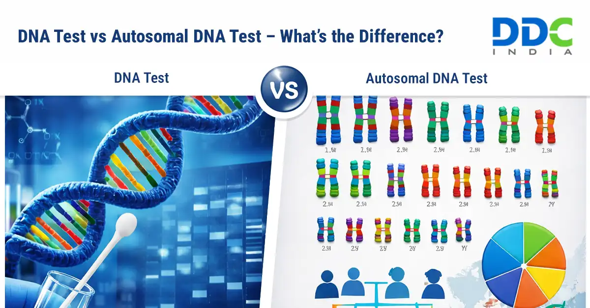 Autosomal-DNA-Test