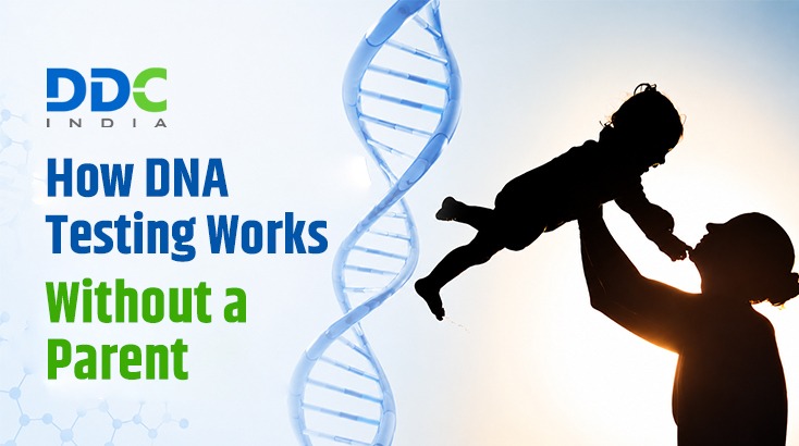 Can You Do a DNA Test If a Parent Is Not Available?